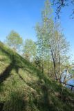 Image of landscape