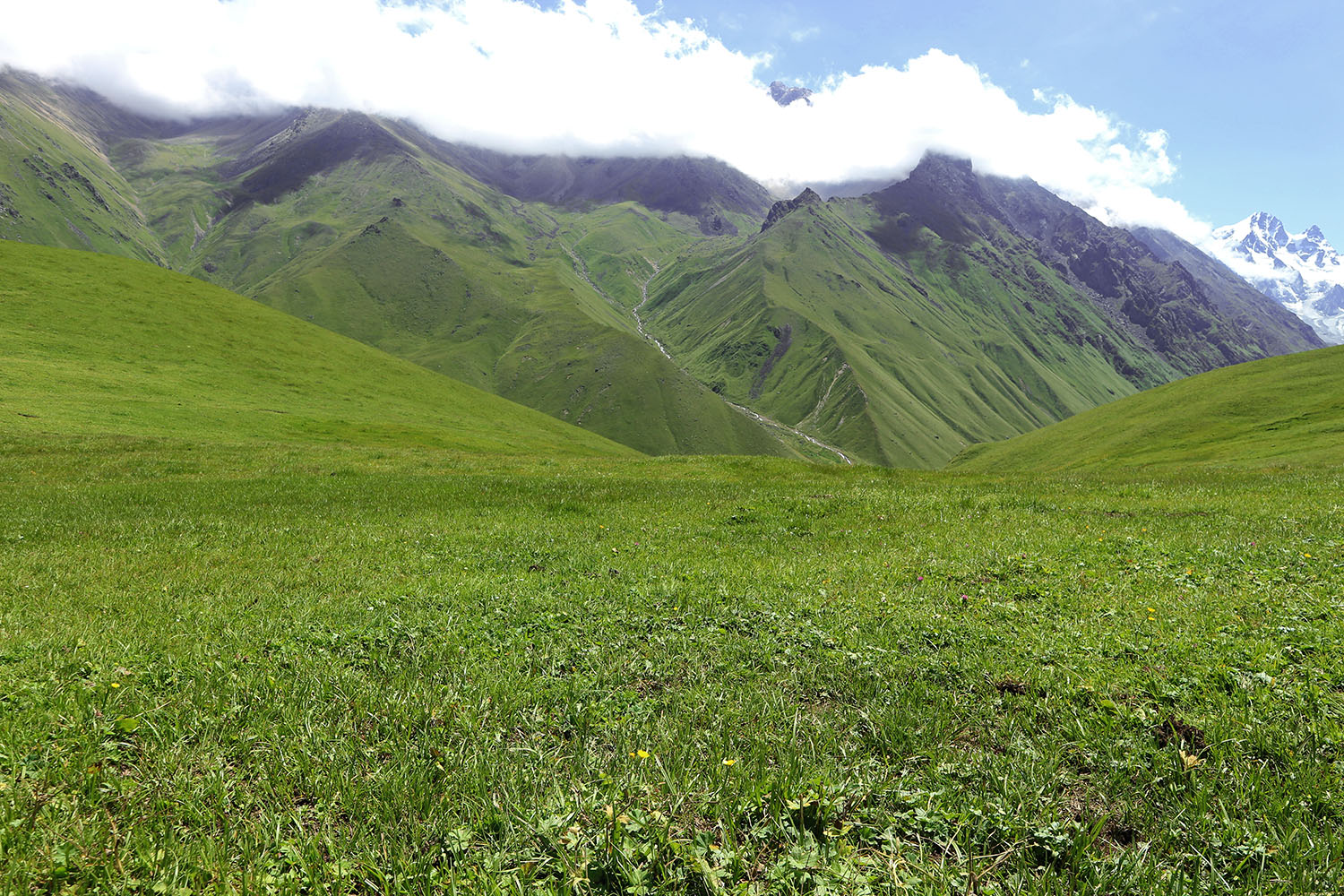 Эркедыген, image of landscape/habitat.