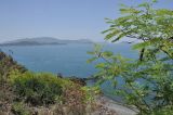 Image of landscape