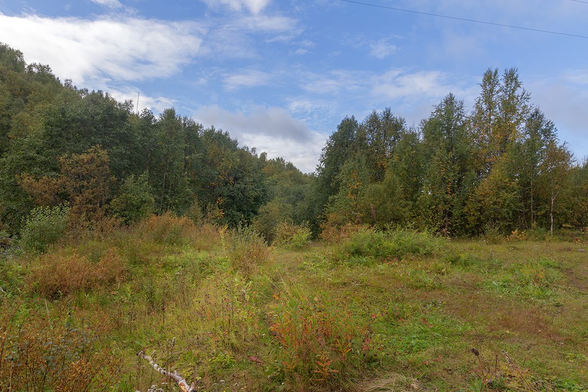 Лавна, image of landscape/habitat.