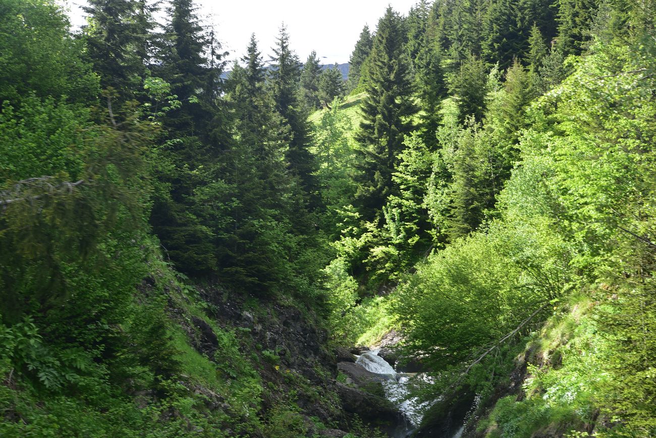 Кашикли, image of landscape/habitat.