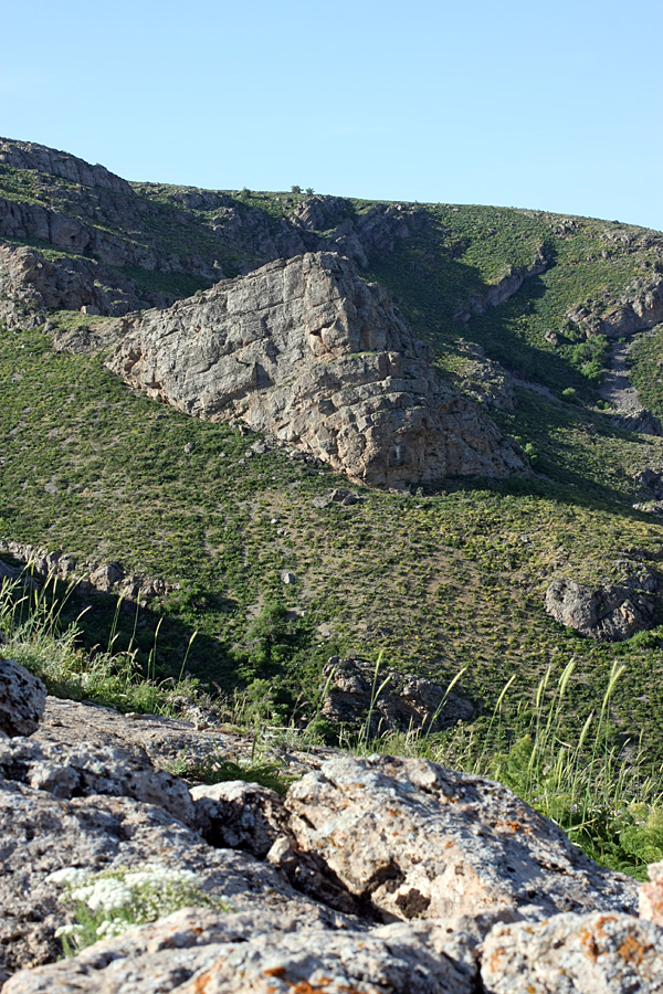 Горы Каракус, image of landscape/habitat.