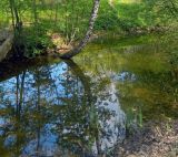 ГБС РАН, image of landscape/habitat.