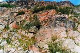 Image of landscape