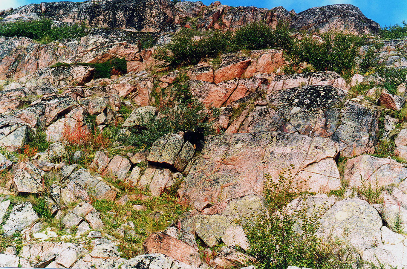 Долина ручья Хохрячий, изображение ландшафта.
