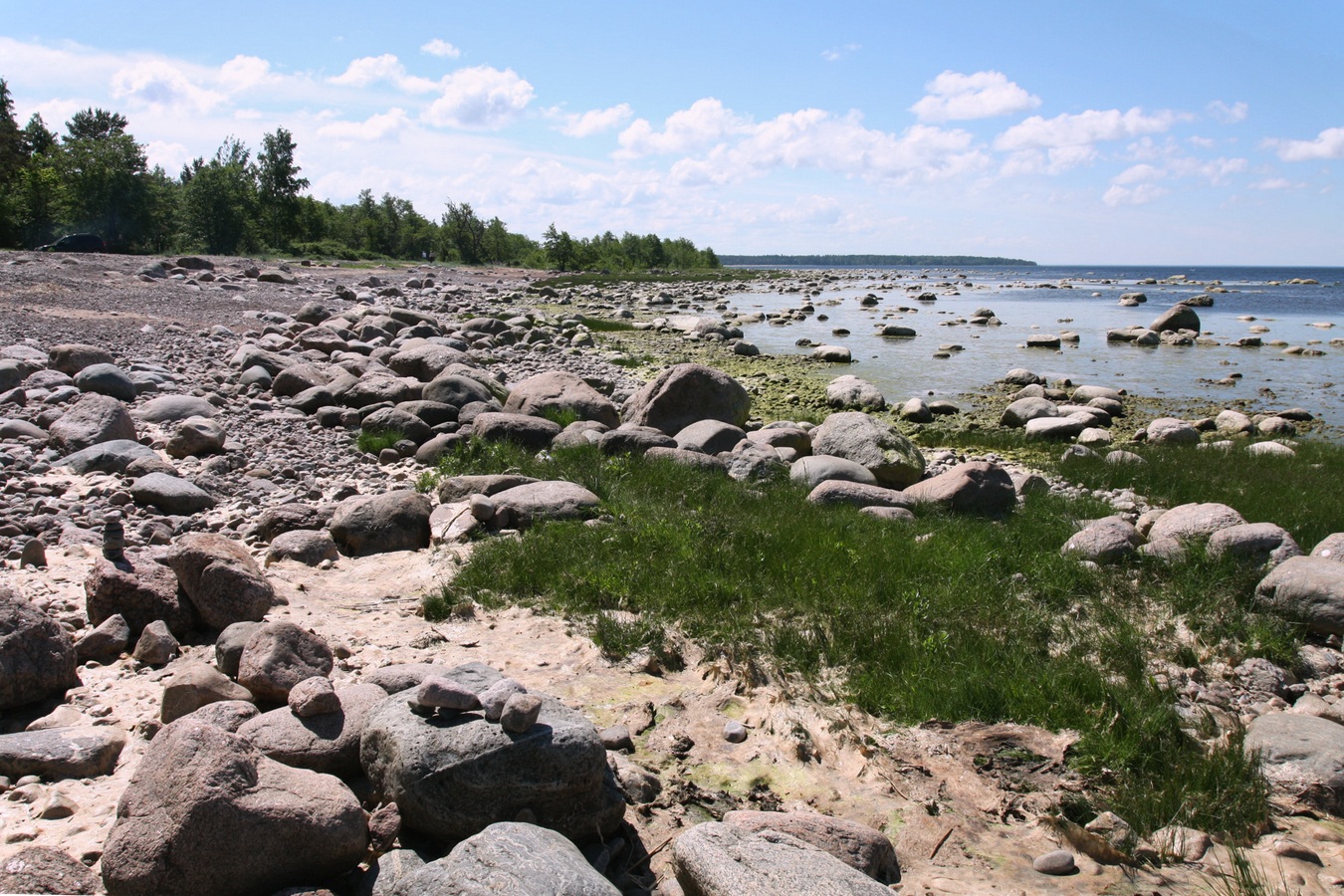 Шепелёвский маяк, image of landscape/habitat.