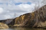 Окрестности Белоключевки, image of landscape/habitat.