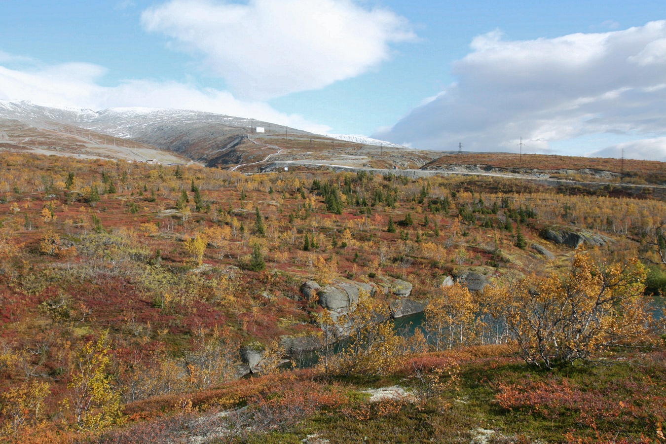 Южный склон Айкуайвенчорр, image of landscape/habitat.