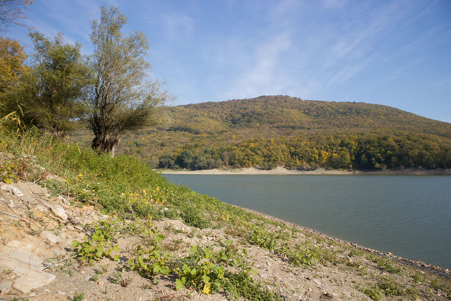 Неберджаевское водохранилище, image of landscape/habitat.