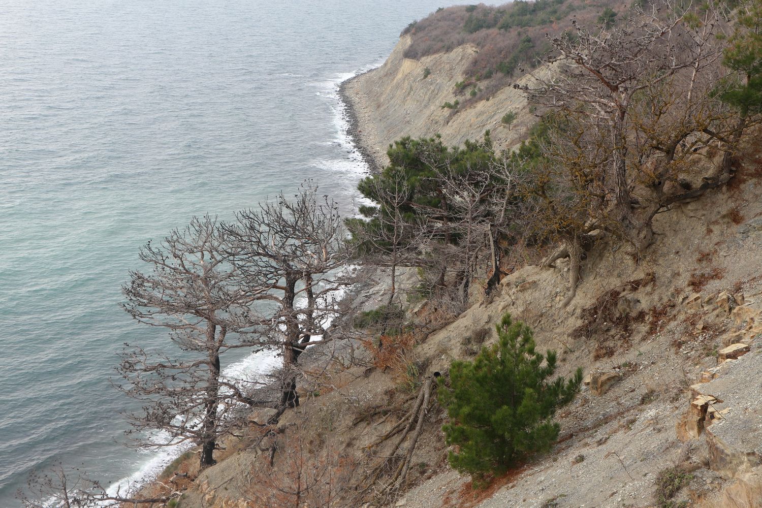 Гора Колдун, image of landscape/habitat.