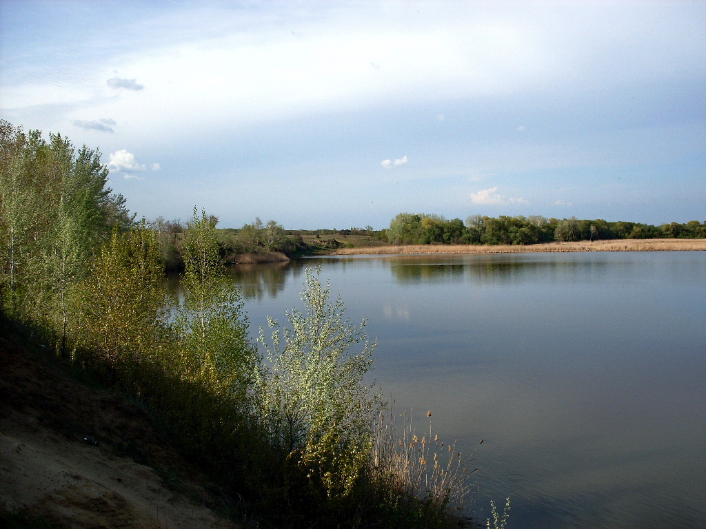 Заказник "Нижне-Кундрюченский", image of landscape/habitat.