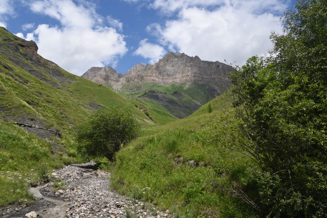 Верховья Цесиахк, image of landscape/habitat.