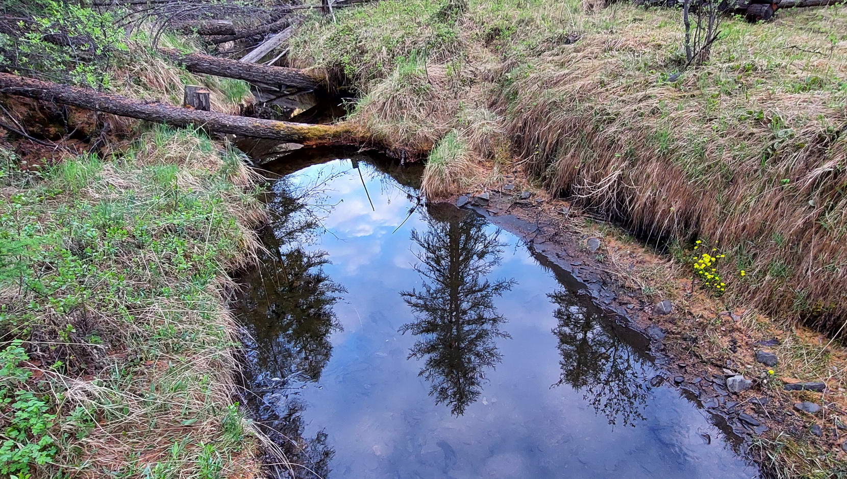 Сунтар-Хаята, image of landscape/habitat.