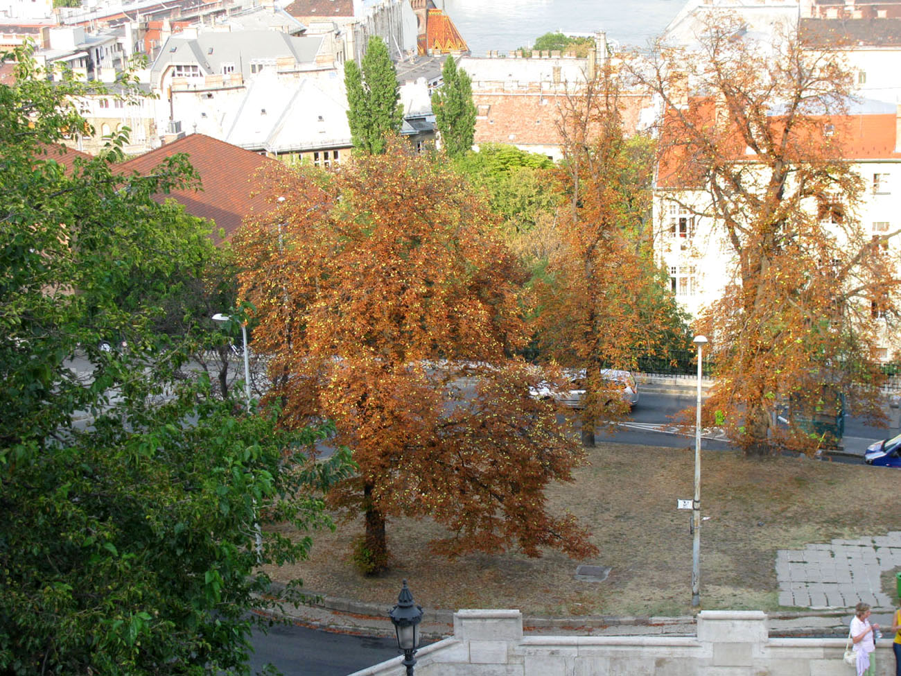 Будапешт, image of landscape/habitat.
