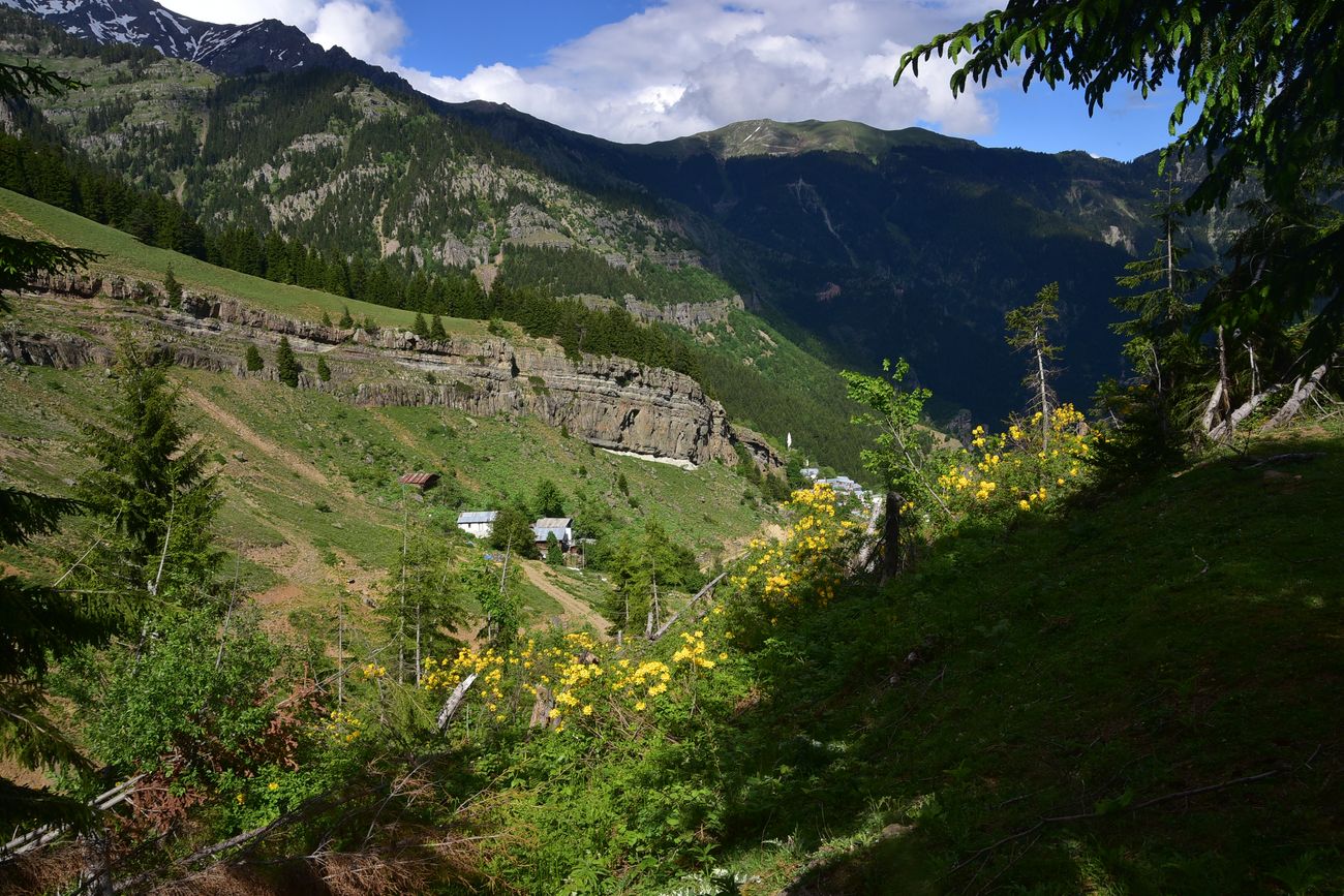 Кашикли, image of landscape/habitat.