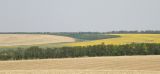 Landscape image