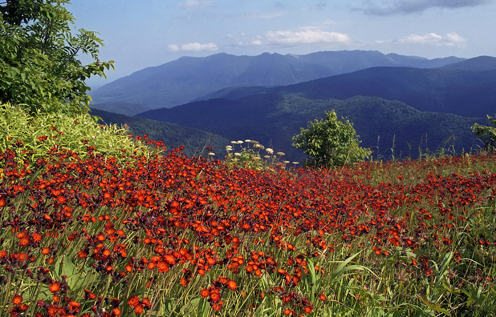 Сусунайский хребет, image of landscape/habitat.