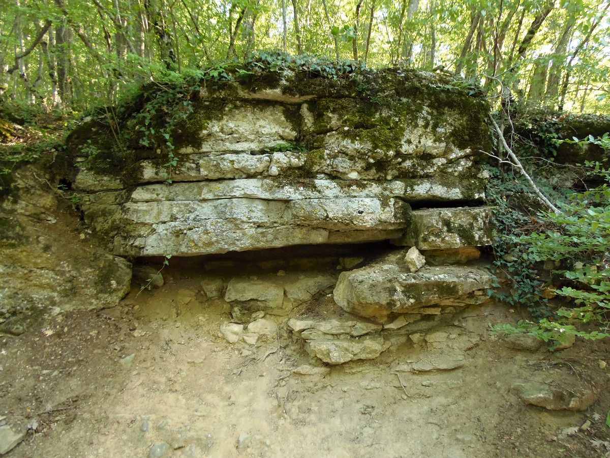 Топловский монастырь, image of landscape/habitat.