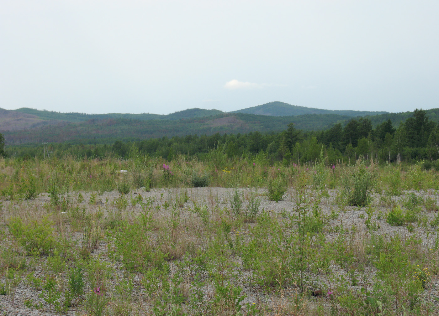 Граница Амурской области, image of landscape/habitat.