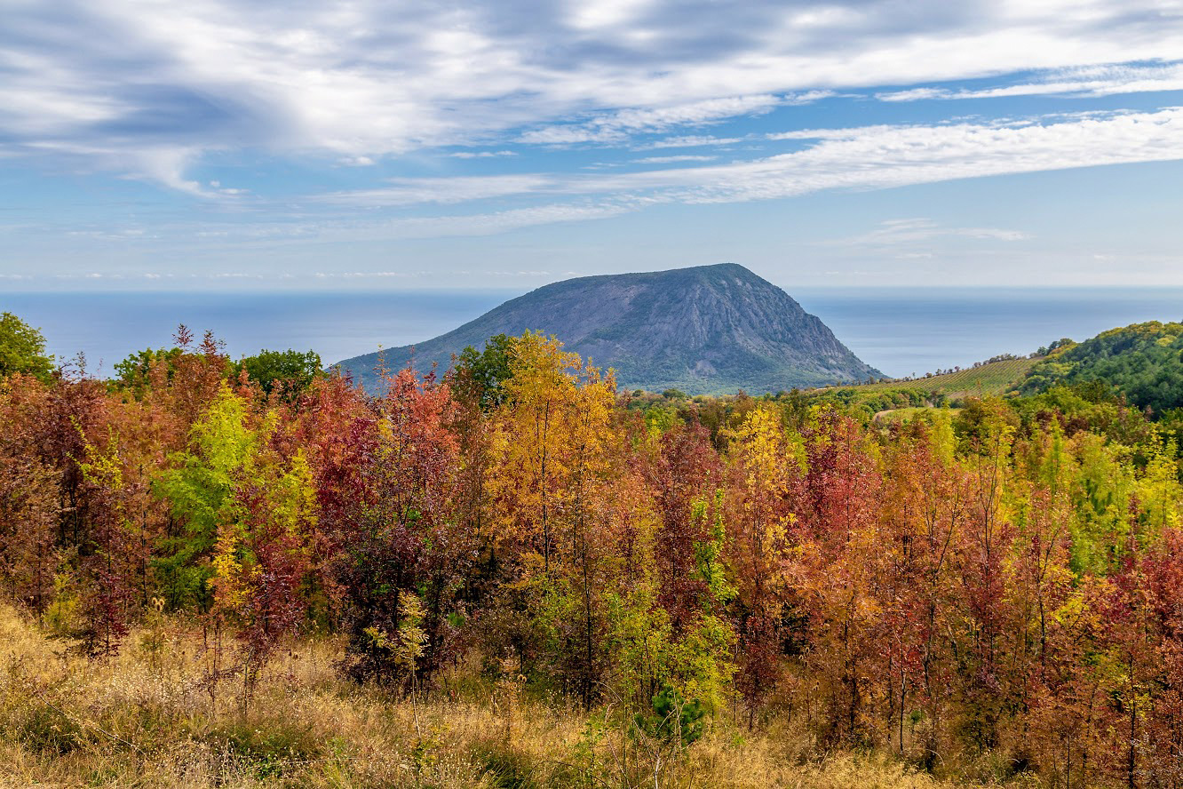 Урочище Парагильмен, image of landscape/habitat.