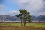 Image of landscape