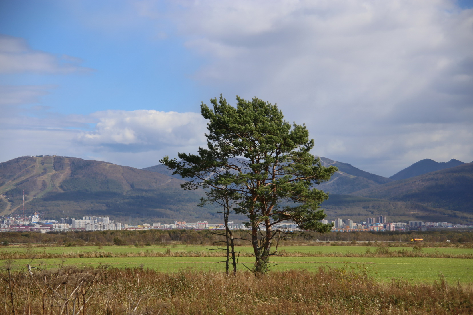 Южно-Сахалинск, image of landscape/habitat.
