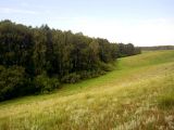 Image of landscape