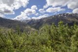 Image of landscape