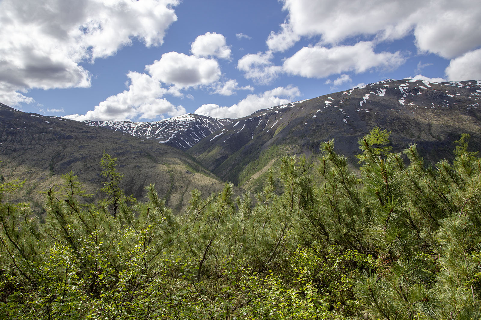 Сунтар-Хаята, image of landscape/habitat.