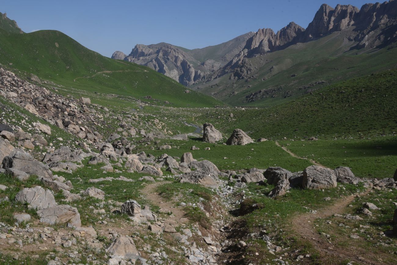 1 км от базового лагеря, изображение ландшафта.