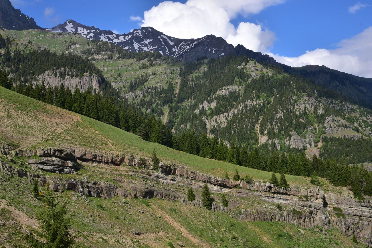 Кашикли, image of landscape/habitat.