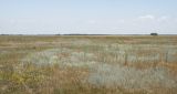 Image of landscape