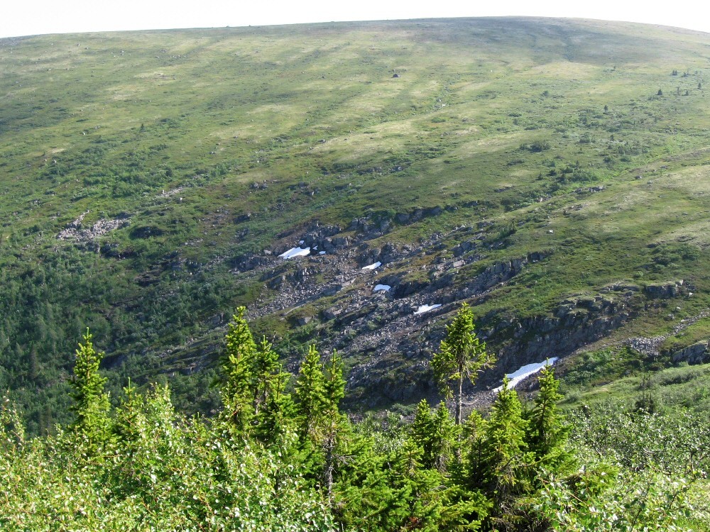 Колвицкие Тундры, изображение ландшафта.