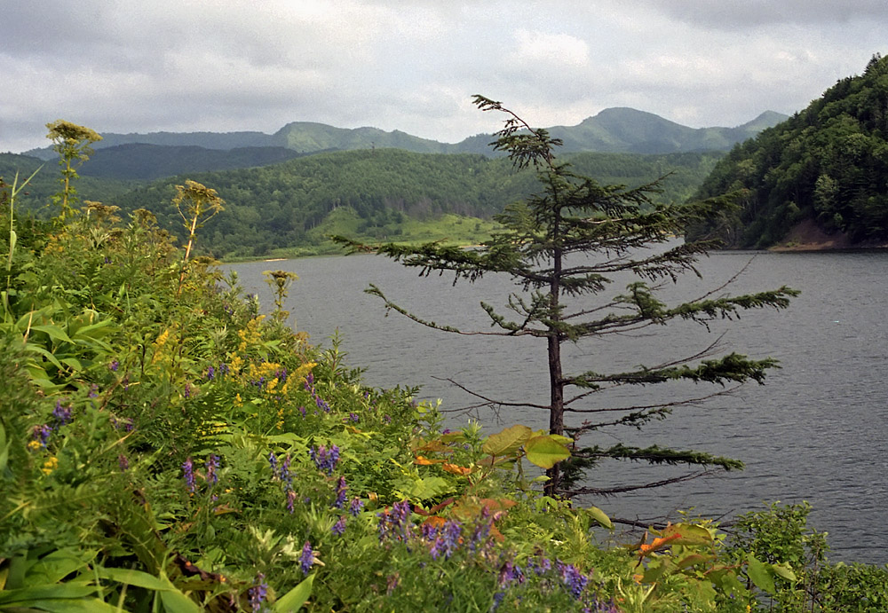 Озеро Тайное, изображение ландшафта.