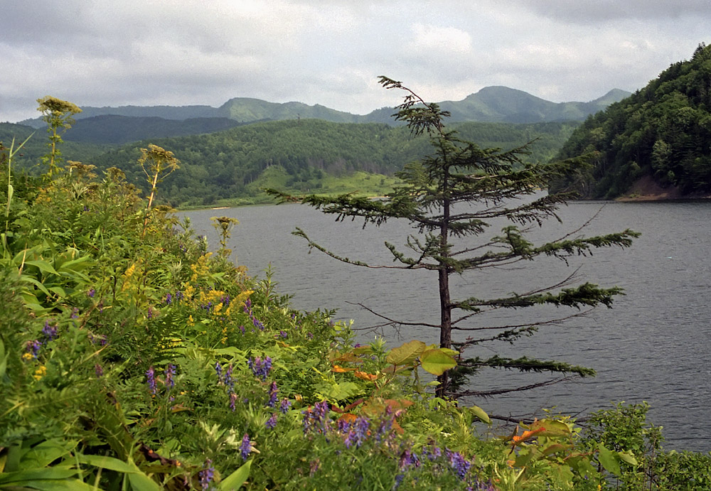 Озеро Тайное, image of landscape/habitat.