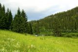 Камень Красный и его окрестности, image of landscape/habitat.