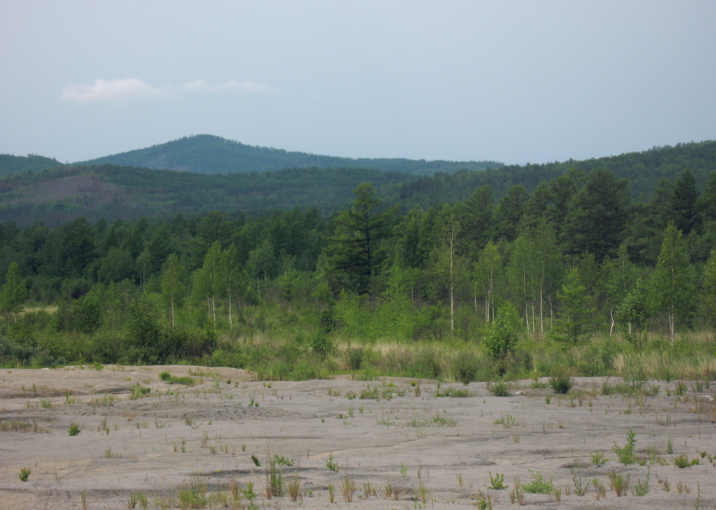 Граница Амурской области, image of landscape/habitat.