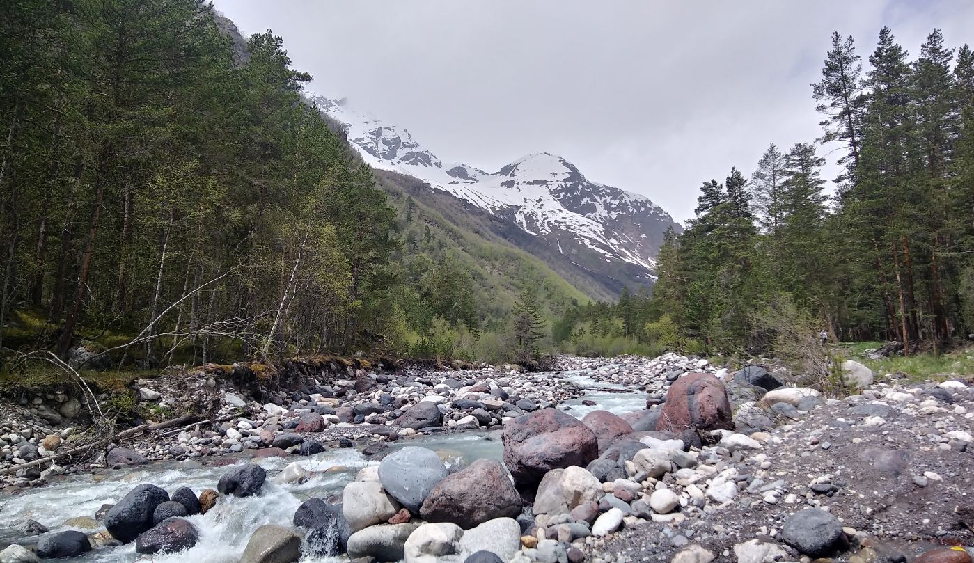 Терскольский лес, image of landscape/habitat.