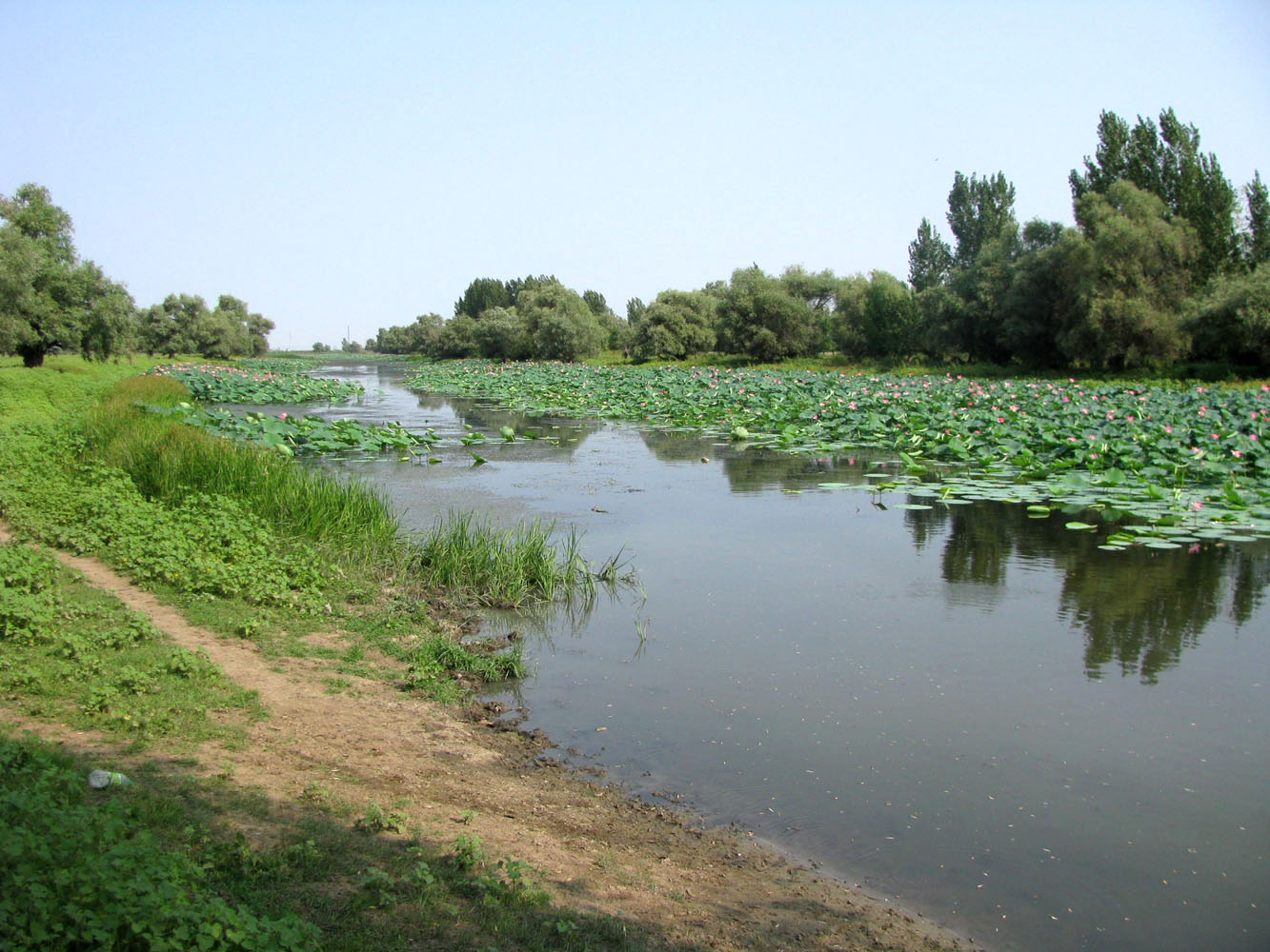 Бузан, image of landscape/habitat.