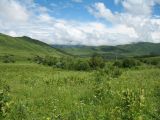 Image of landscape