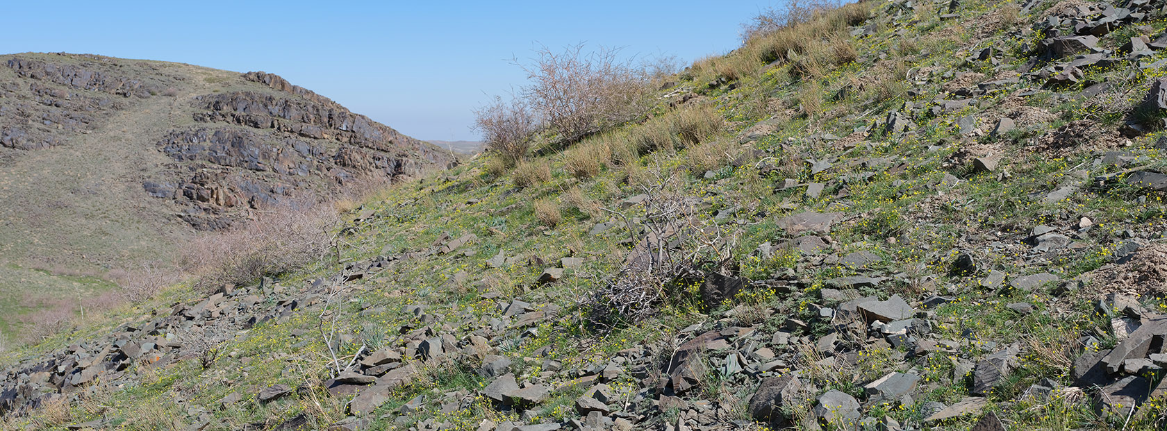 Тамгалы (Танбалы), image of landscape/habitat.