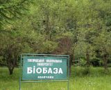 Окрестности оз. Синевир, image of landscape/habitat.