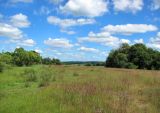 Image of landscape