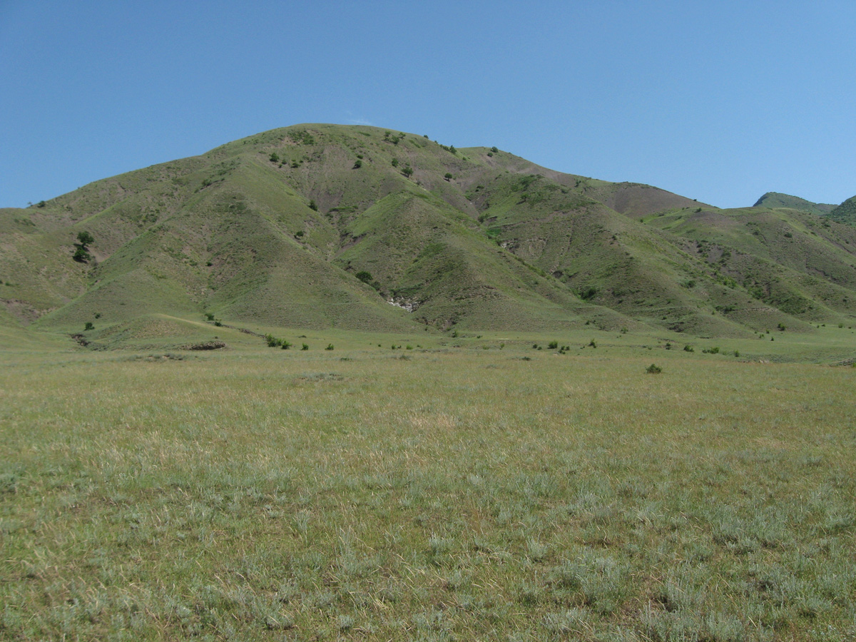 Окрестности села Гарах, image of landscape/habitat.