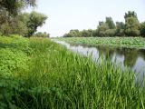 Изображение ландшафта