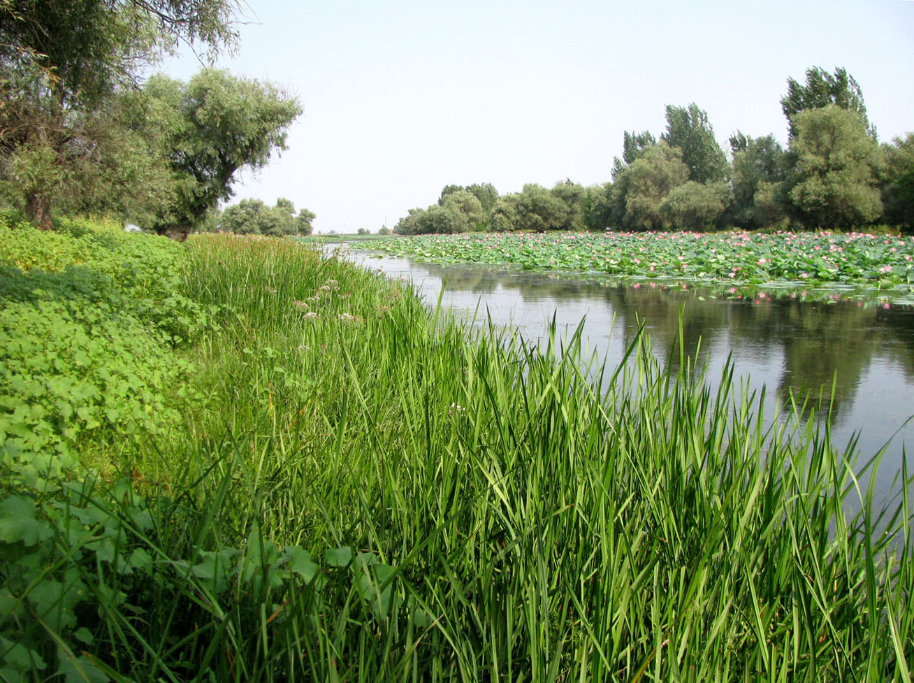 Бузан, image of landscape/habitat.