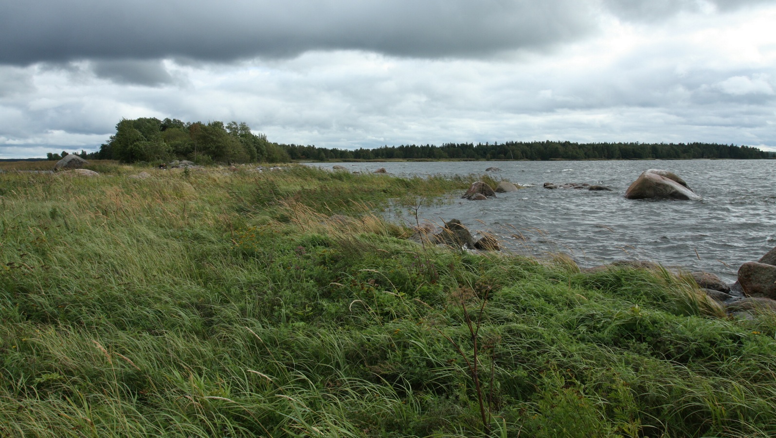 Мыс Дубовский, image of landscape/habitat.