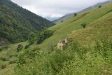 Урочище Лялах и окрестности, image of landscape/habitat.