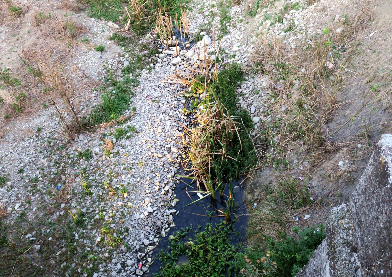 Оризаре, image of landscape/habitat.