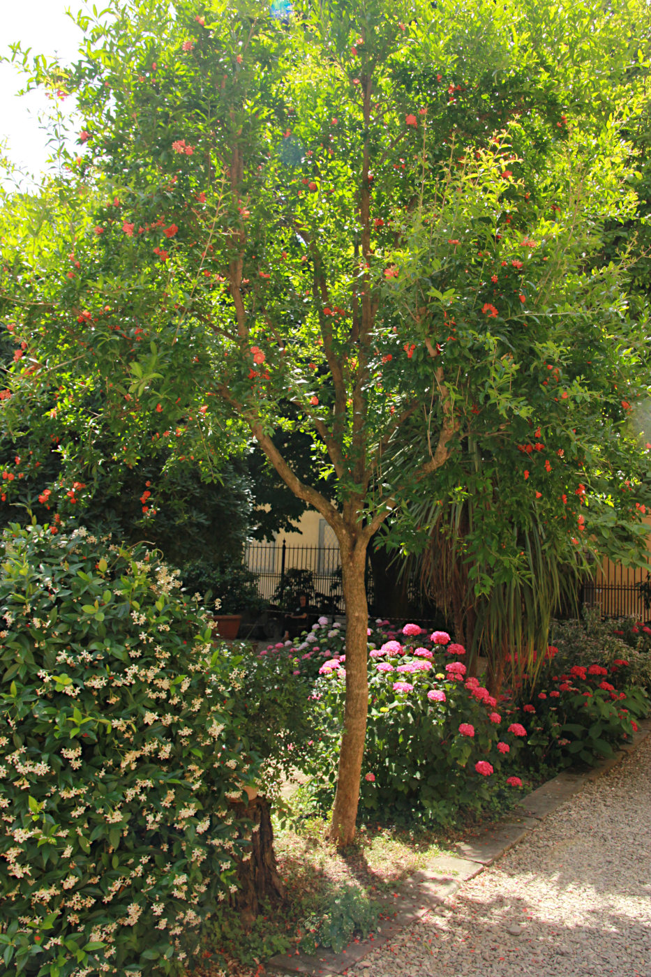Флоренция, image of landscape/habitat.